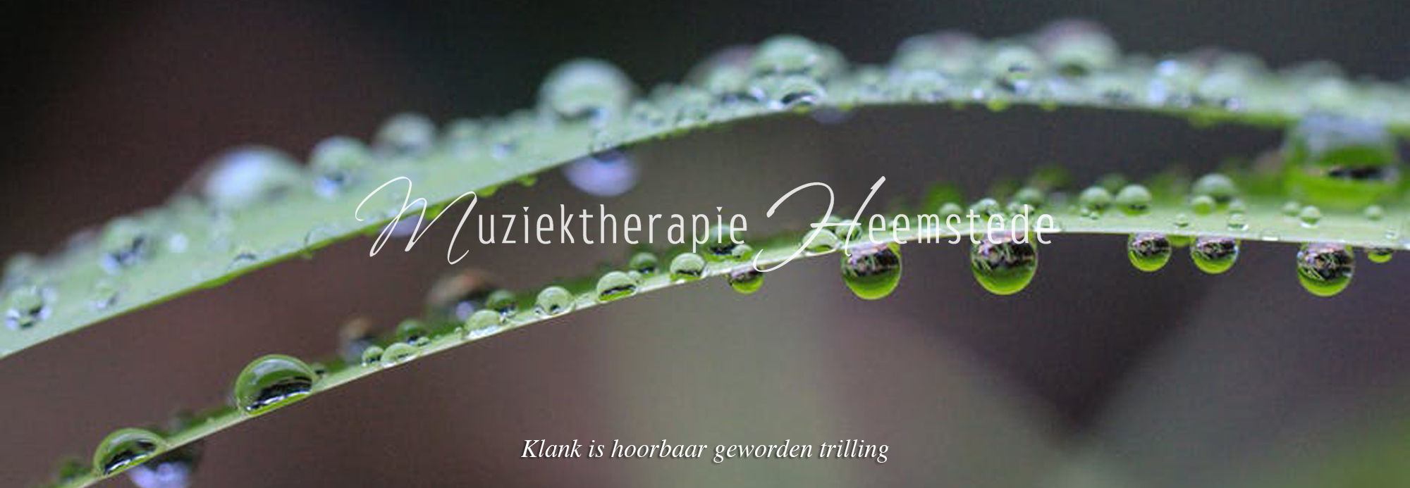 Muziektherapie Heemstede