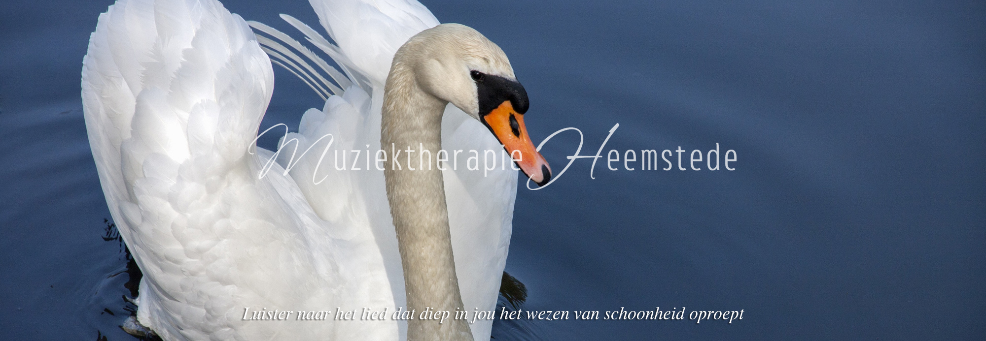 Muziektherapie Heemstede